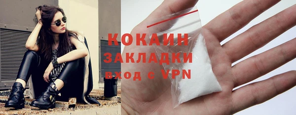 индика Балабаново