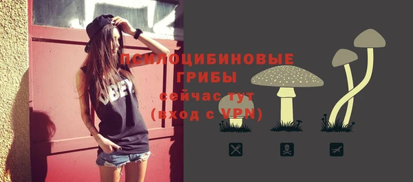 индика Балабаново