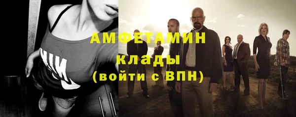 индика Балабаново