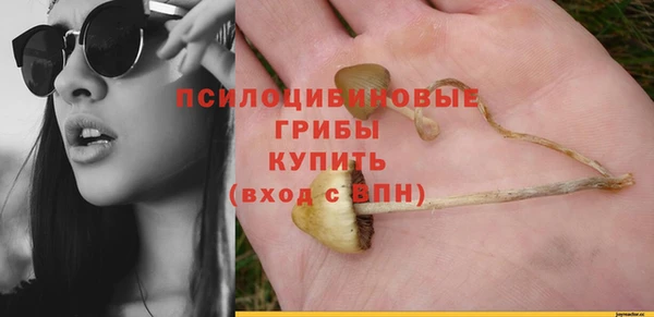индика Балабаново
