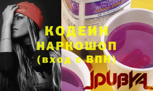 индика Балабаново