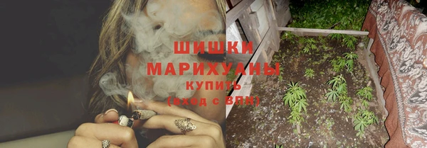 индика Балабаново