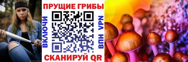 Галлюциногенные грибы мухоморы  omg сайт  Заволжск  даркнет сайт 