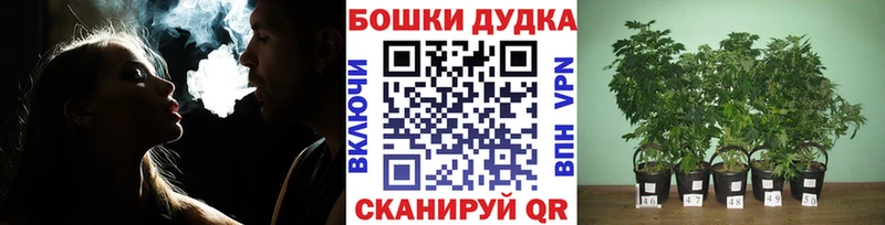 Конопля AK-47  Заволжск 